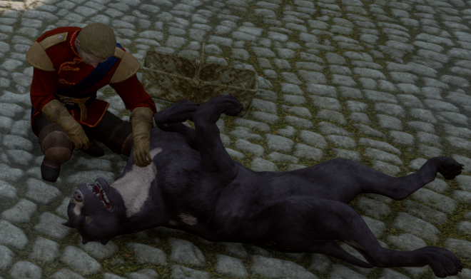 Image result for Cullen Gets a Dog Ã¢Â€ÂœDragon Age: Inquisition