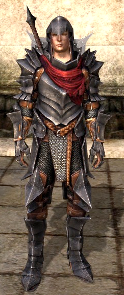 Armor of the champion dragon age 2