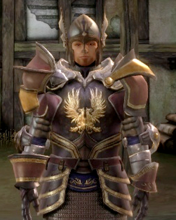 Warden Commander Armor Set Dragon Age Wiki Fandom