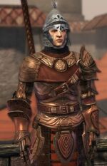 DAO Amaranthine City Guard Lieutenant - Smuggler's Run quest