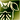 Light armor green DA2