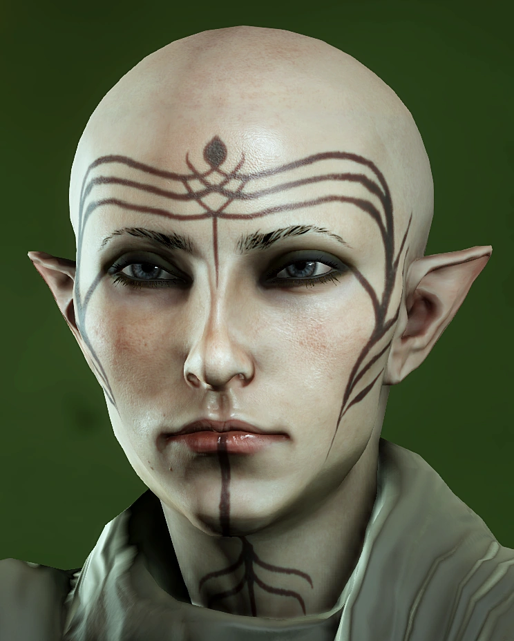 Image June Vallaslin2.PNG Dragon Age Wiki FANDOM powered by Wikia