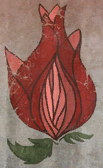 The Blooming Rose logo
