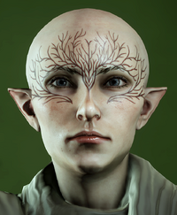 dragon age elf tattoos