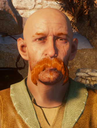 Image result for harritt dragon age