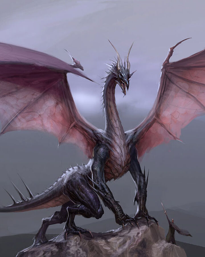 High Dragon Dragon Age Wiki Fandom