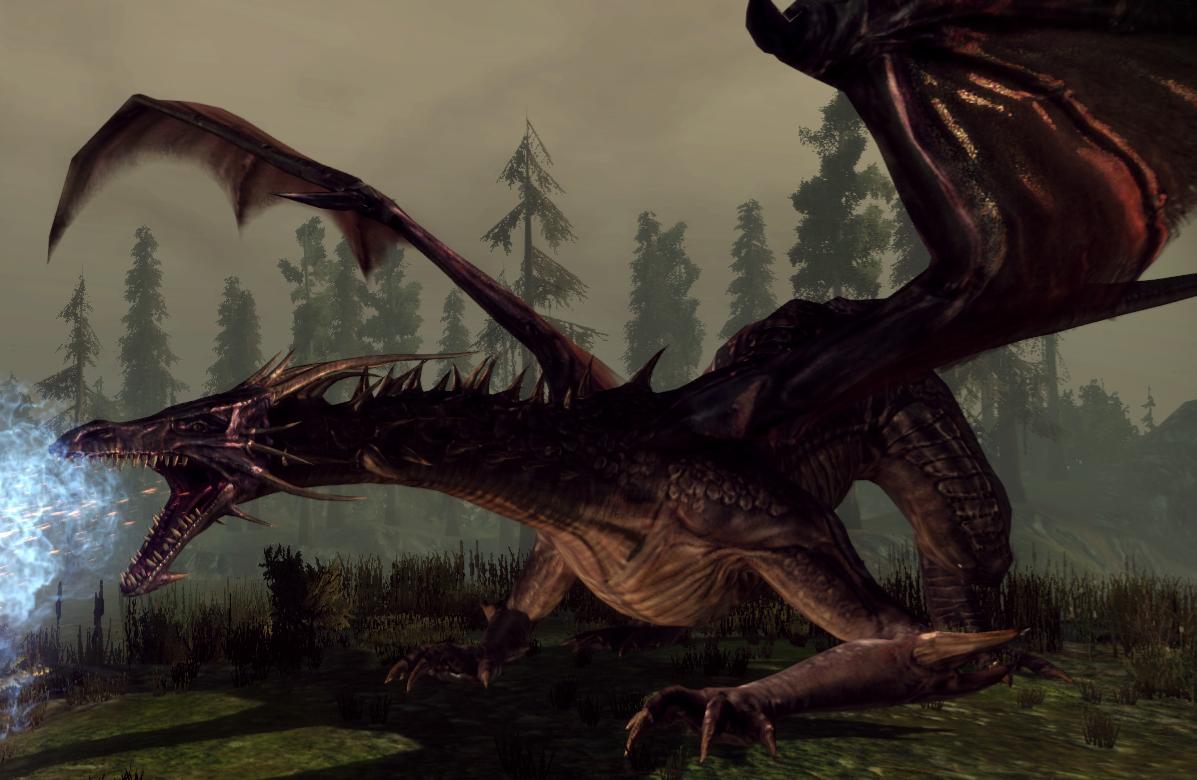 flemeth the shapeshifter dragon age wiki fandom powered by wikia
