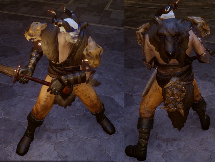 Katari's Hide (Bas) Dragon Age Wiki FANDOM powered by Wikia