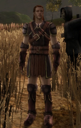 Dragon Age моды 18