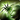 Talent-SummonSpider icon