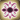Spell-VulnerabilityHex icon