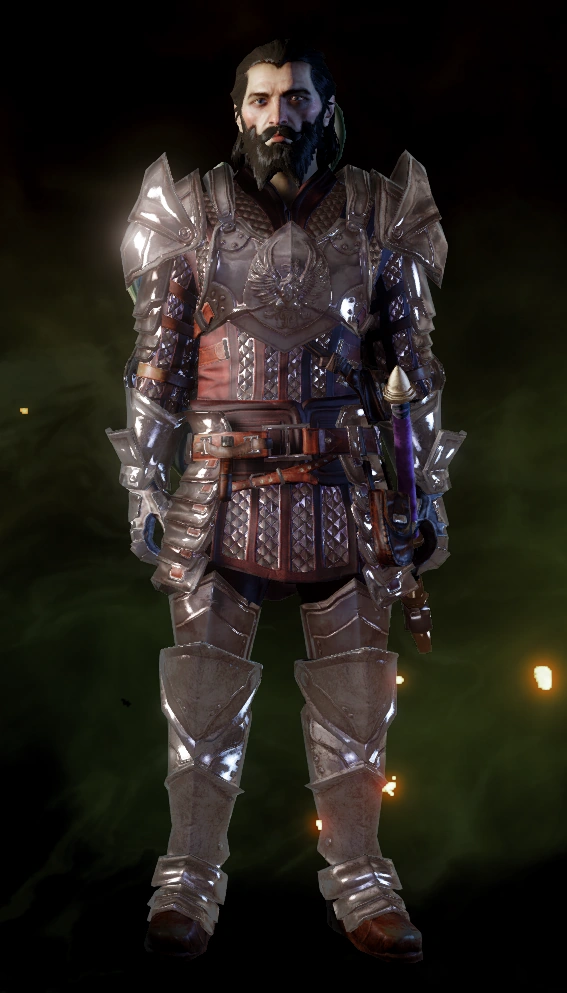 Dragon Age Grey Warden Armor moseoseoah