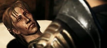 Warden's fall sick elf