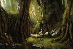 World of thedas 2