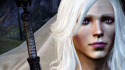 DAO PC Vixen