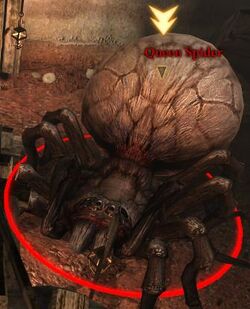 Queen Spider DA2