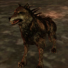 Warrior <a href=