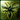 Spell-FlyingSwarm icon
