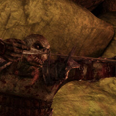 Warrior <a href=