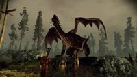 Flemeth Drache DAO