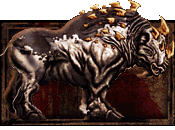 Bronto