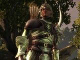 dragon age ancient elven armor
