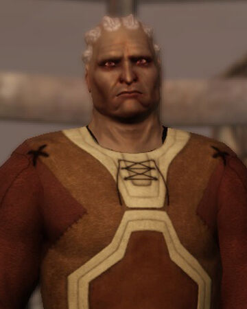 Sten Dragon Age Wiki Fandom