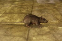 Form-Mouse