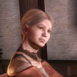 Gnawed Noble Tavern | Dragon Age Wiki | FANDOM powered by ...