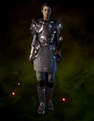 Orlesian Army Warrior Armor Schematic Dragon Age Wiki
