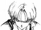 Trunks art