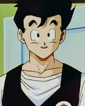 Son Gohan Dragon Ball World Wiki Fandom
