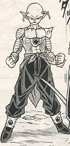 Super namek kagyu