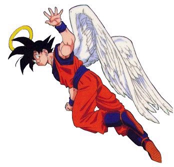 Angel Goku