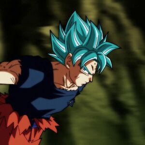 Body Soul And Power Unleashed Goku And Vegeta Dragon Ball