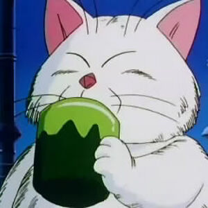 Korin Dragon Ball Wiki Fandom