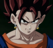 Vegetto Rostro