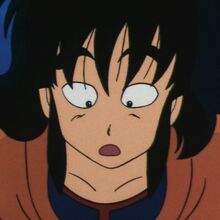 Keep An Eye On The Dragon Balls Dragon Ball Wiki Fandom