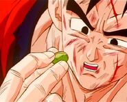 Gohan sostiene la última semilla