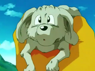 Majin Boo curando a Bee 3