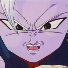 The Wizard S Curse Dragon Ball Wiki Fandom