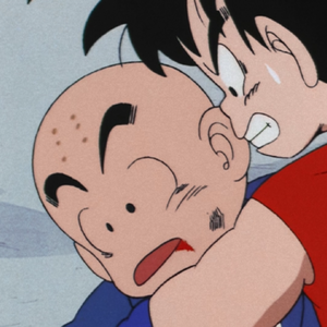 The Fallen Dragon Ball Wiki Fandom