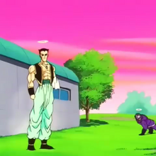Lista De Razas Dragon Ball Wiki Fandom