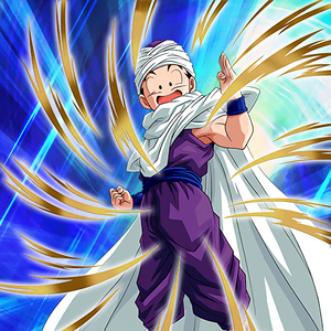 Demon Clothes Dragon Ball Wiki Fandom