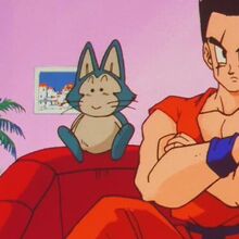 The Doomsday Broadcast Dragon Ball Wiki Fandom