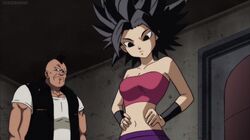 Caulifladecideslearnssj