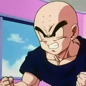 Meet Me In The Ring Dragon Ball Wiki Fandom