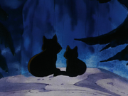 Cats