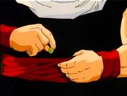 180px-Dbzmovie5 641