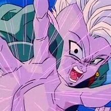 Shin Dragon Ball Wiki Fandom